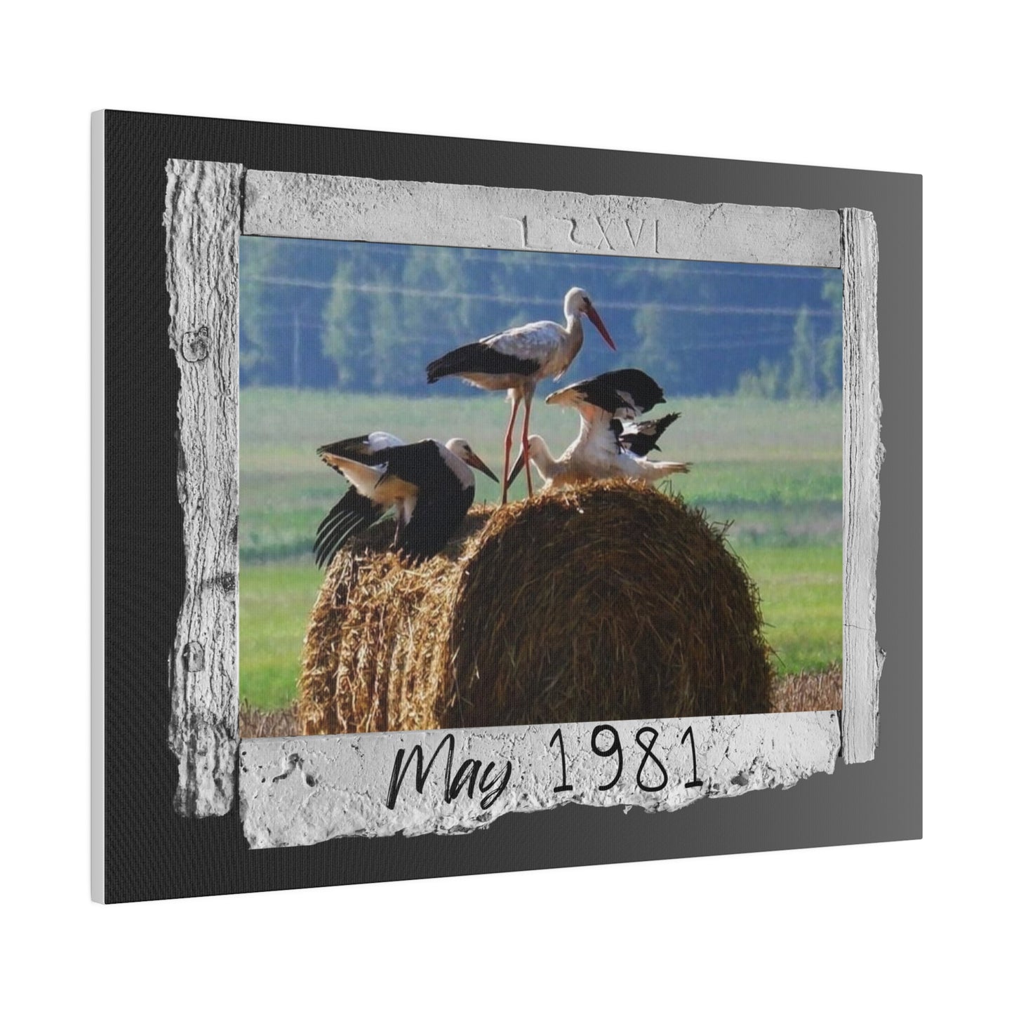 Vintage Canvas for living room, dinning room, office - It's unique