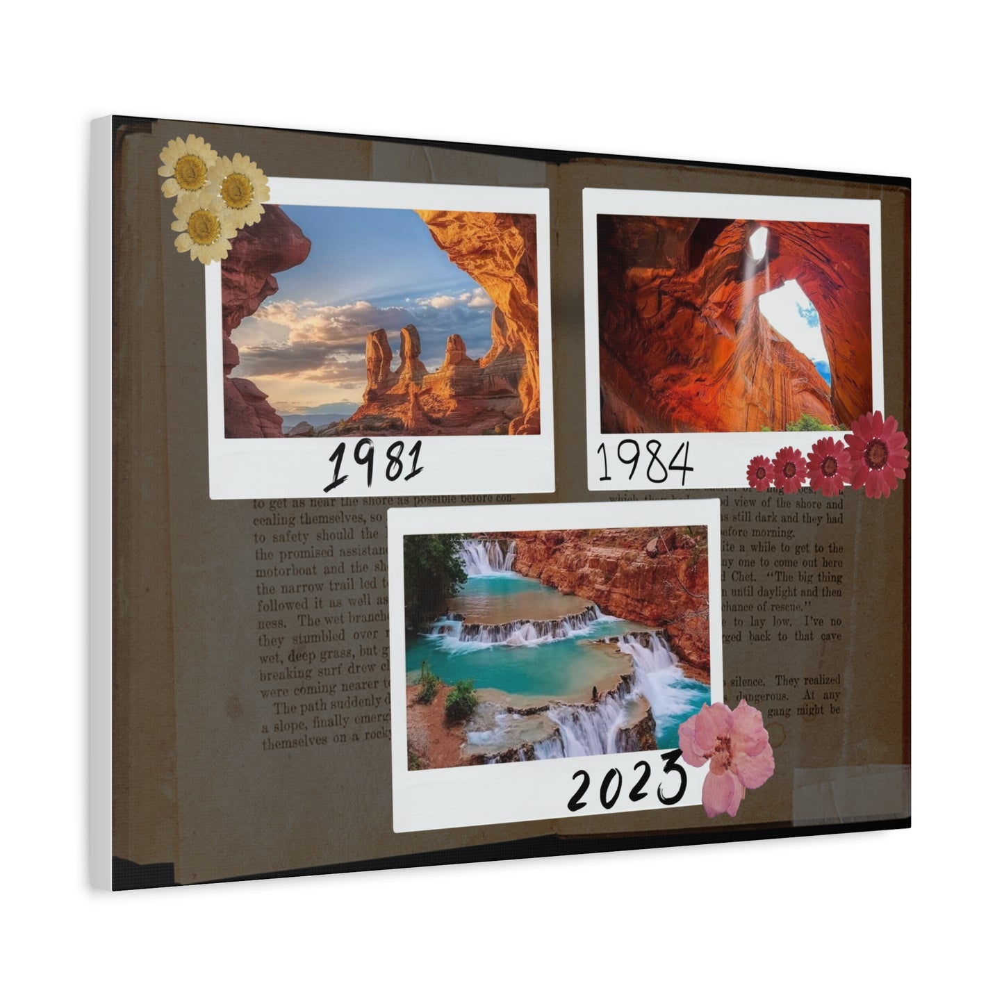 Beautiful Canvas with 4 different sizes - Vintage type - Stunning your dinning room, guest room, office - A designed by Helen Pham