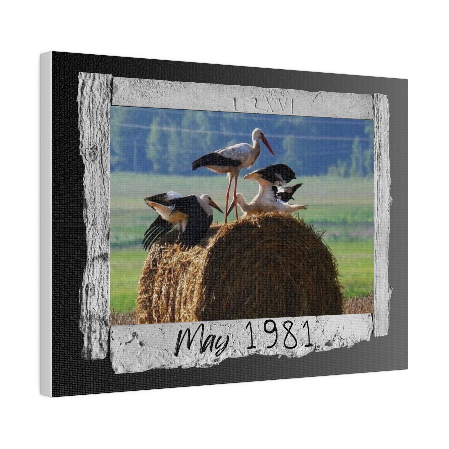 Vintage Canvas for living room, dinning room, office - It's unique