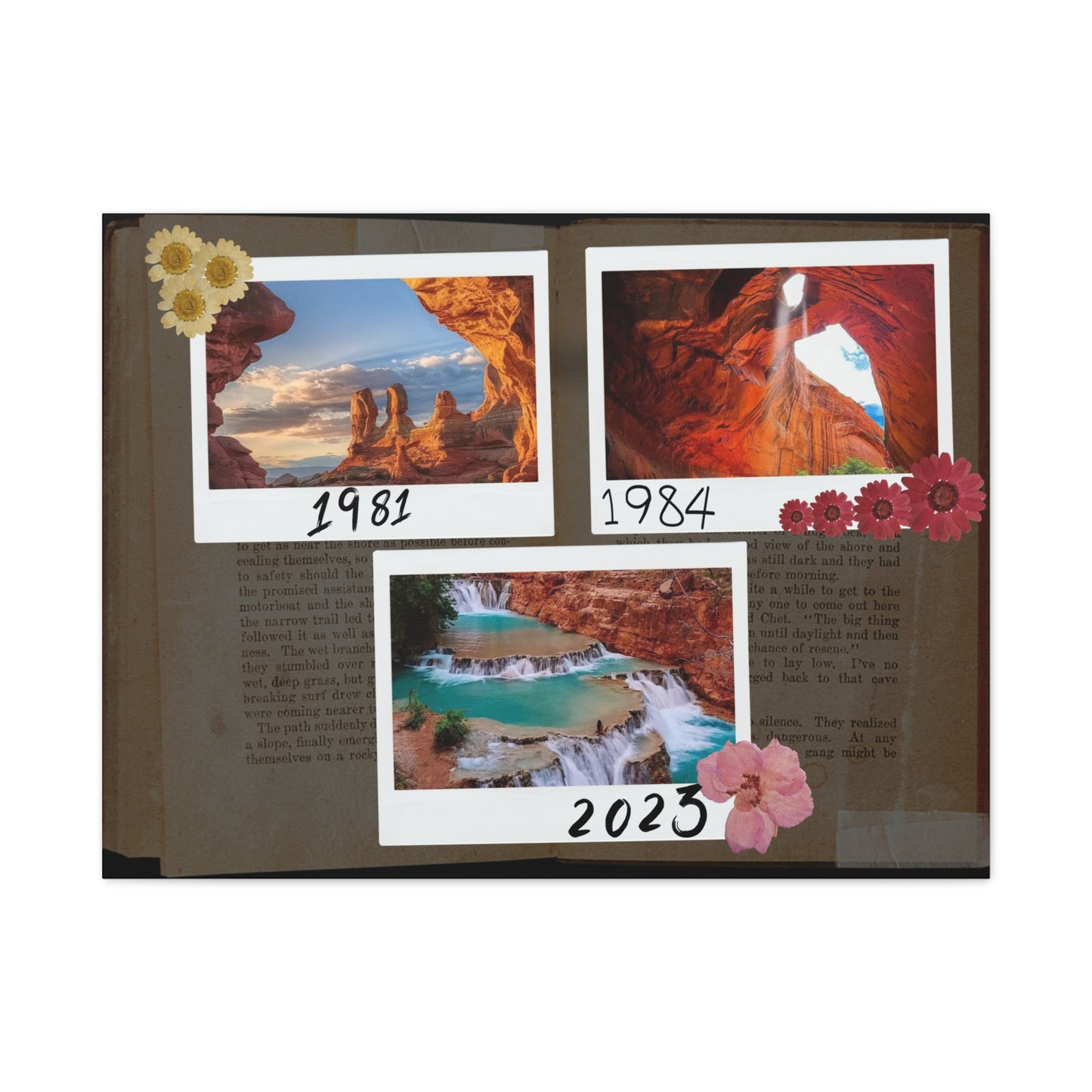 Beautiful Canvas with 4 different sizes - Vintage type - Stunning your dinning room, guest room, office - A designed by Helen Pham