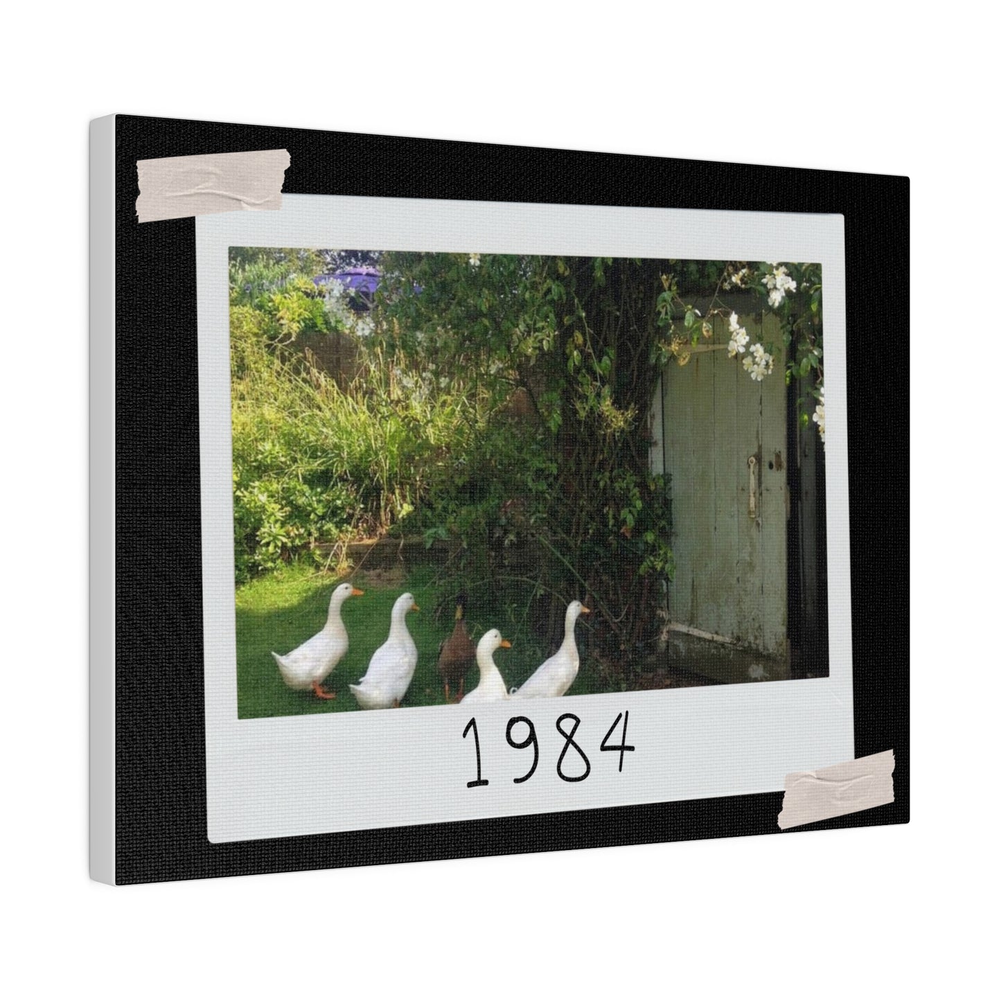 Canvas with Ducks 1984 - Brightens up any room - 2 sizes 12 x 9 and 24 x 18 inches