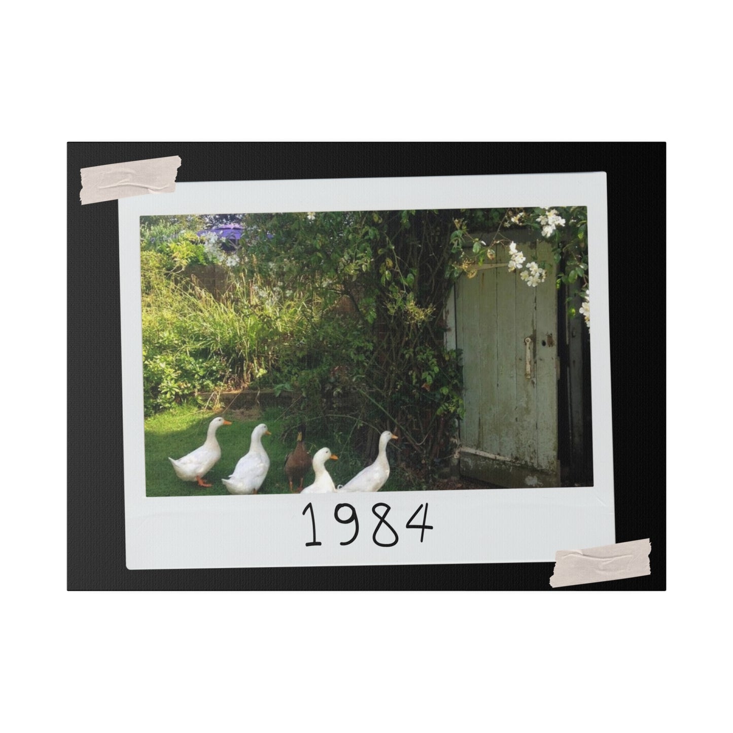 Canvas with Ducks 1984 - Brightens up any room - 2 sizes 12 x 9 and 24 x 18 inches