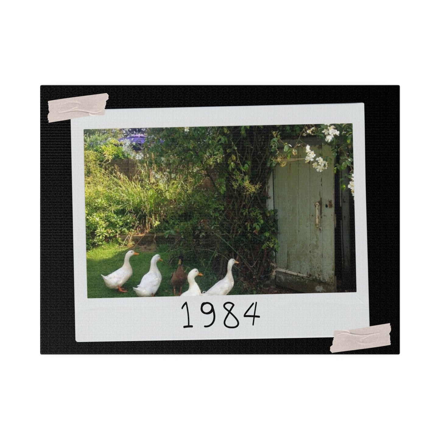Canvas with Ducks 1984 - Brightens up any room - 2 sizes 12 x 9 and 24 x 18 inches