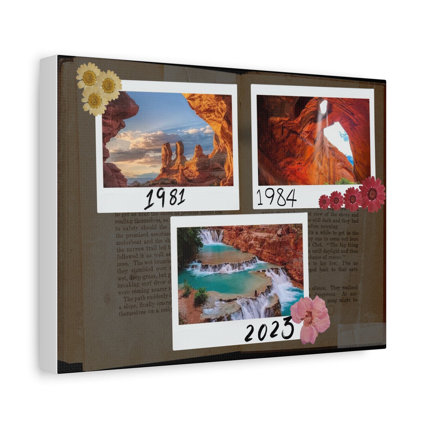 Beautiful Canvas with 4 different sizes - Vintage type - Stunning your dinning room, guest room, office - A designed by Helen Pham