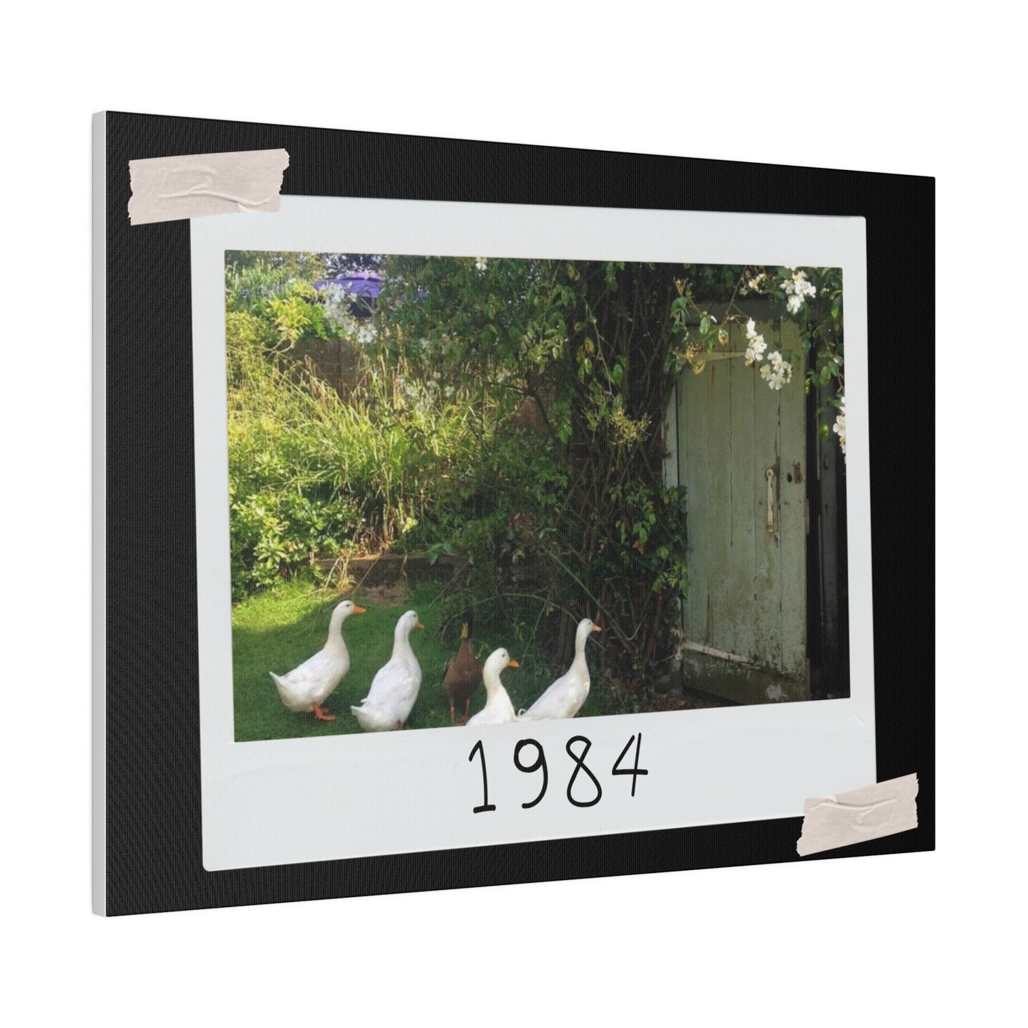 Canvas with Ducks 1984 - Brightens up any room - 2 sizes 12 x 9 and 24 x 18 inches