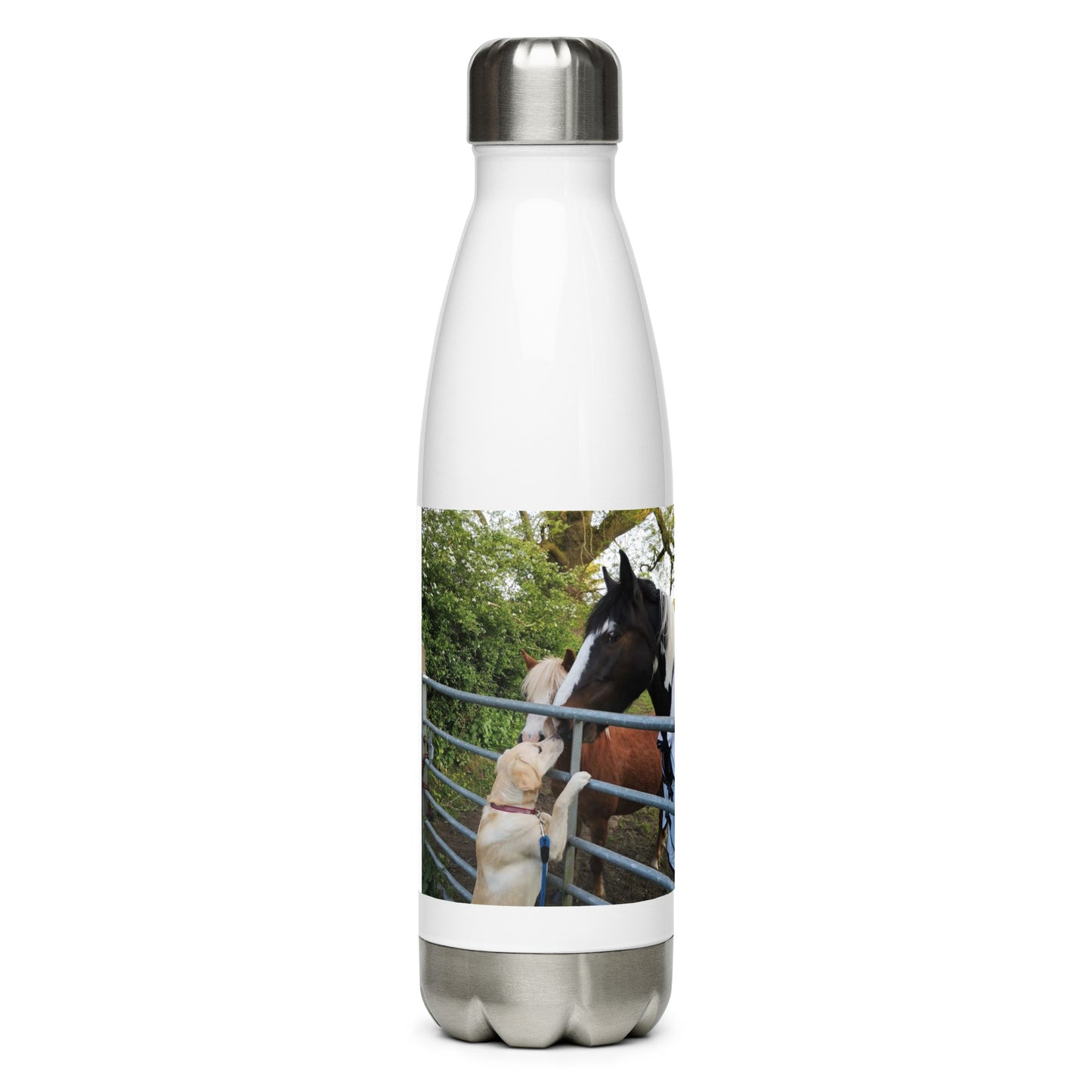 Horse and Dog on Stainless steel water bottle - A Designed from Helen Pham