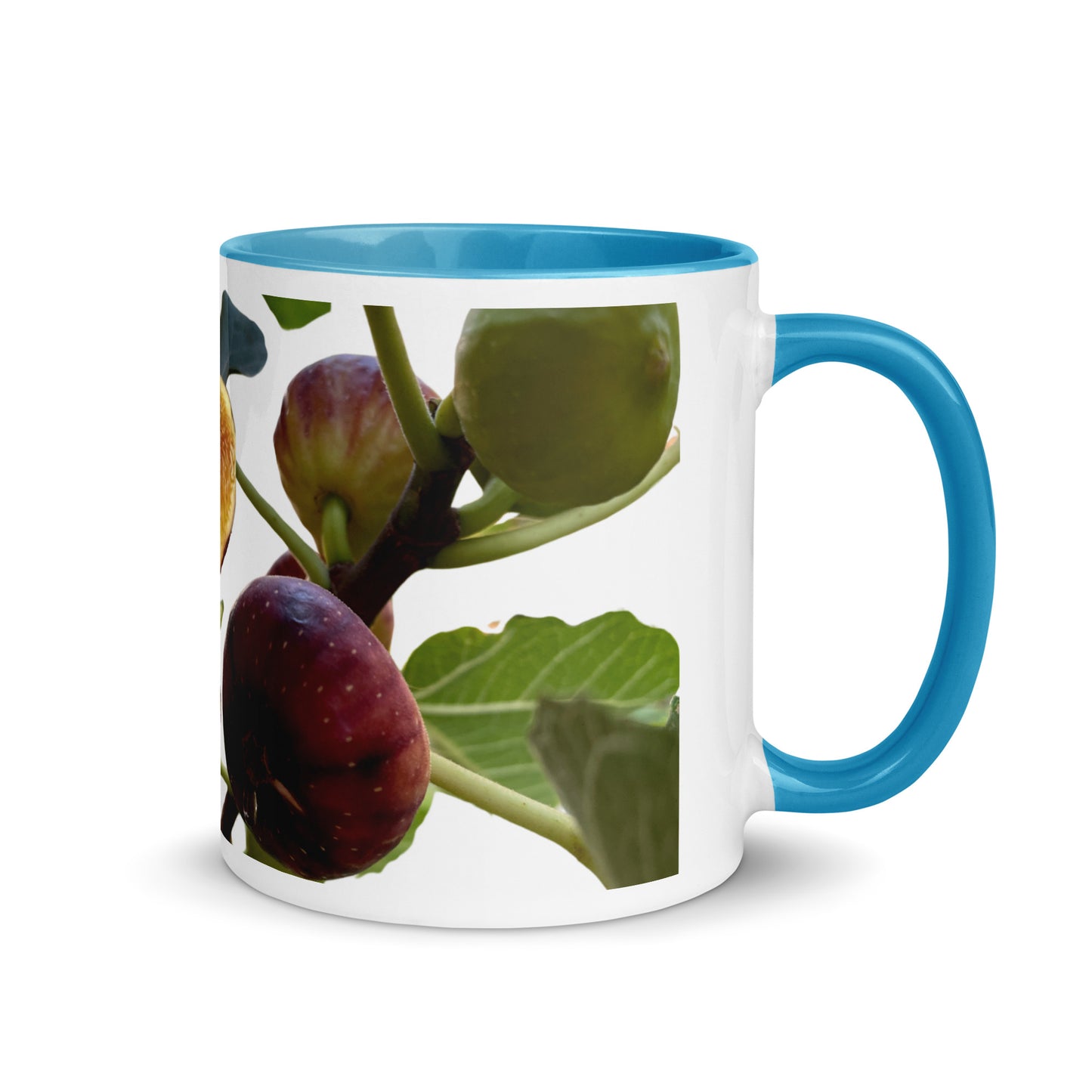 Exquisito Fig Mug - A designed by Helen Pham
