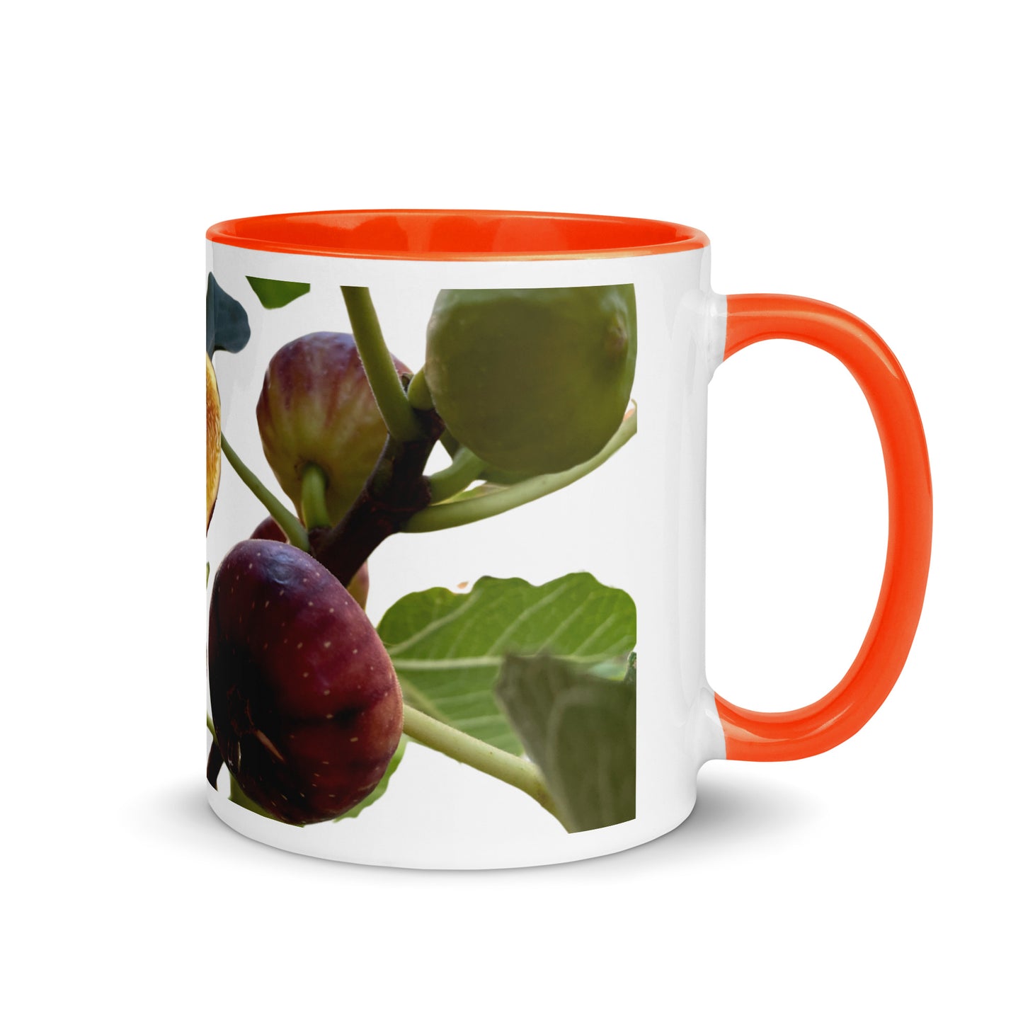 Exquisito Fig Mug - A designed by Helen Pham