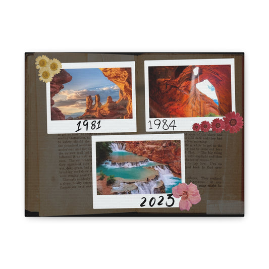 Beautiful Canvas with 4 different sizes - Vintage type - Stunning your dinning room, guest room, office - A designed by Helen Pham