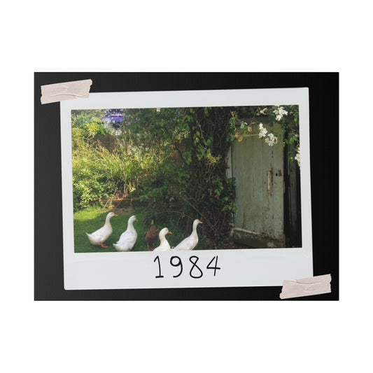 Canvas with Ducks 1984 - Brightens up any room - 2 sizes 12 x 9 and 24 x 18 inches