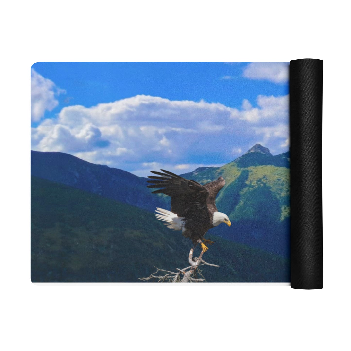 Very nice Yoga mat - exercise mat with Eagle
